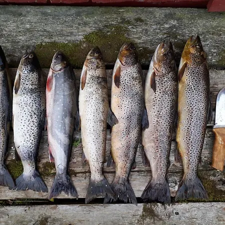 Kirkvollen Pilegrimsgard 3*