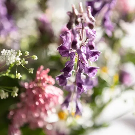 Kirkvollen Pilegrimsgard 3*