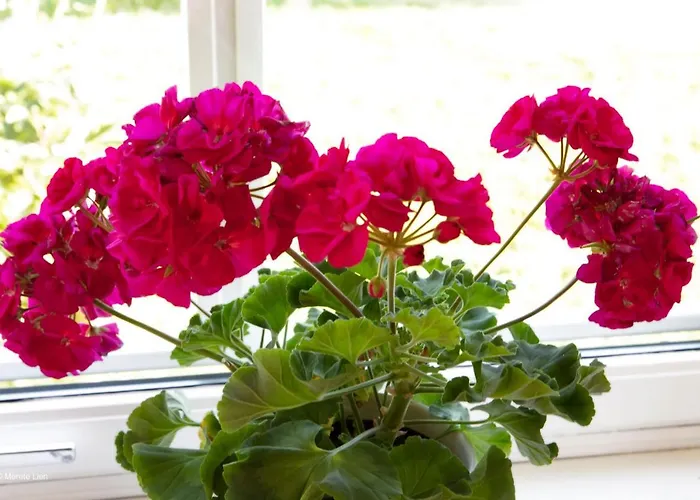 Kirkvollen Pilegrimsgard 3* Tydal