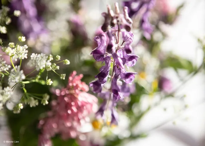 Kirkvollen Pilegrimsgard 3*