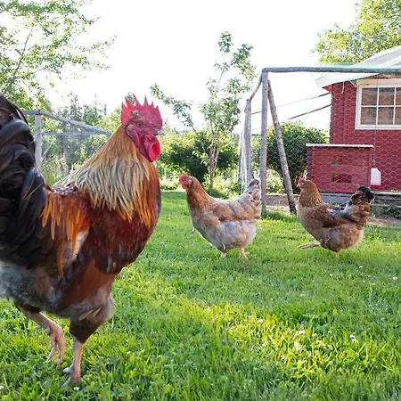 Kirkvollen Pilegrimsgård Bed & Breakfast