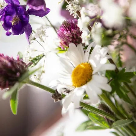 Kirkvollen Pilegrimsgård